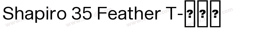 Shapiro 35 Feather T字体转换